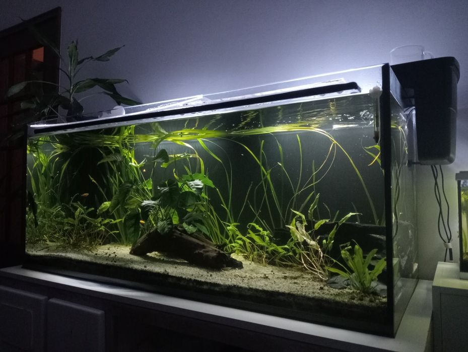 Aquário 300 litros