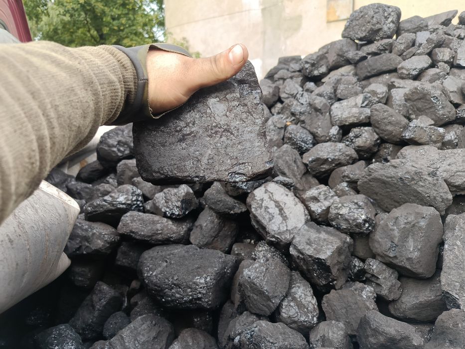 Orzech kostka groszek kwk Marcel