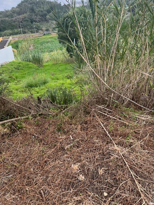 Terreno Urbano carapiteira Mafra (Gradil)