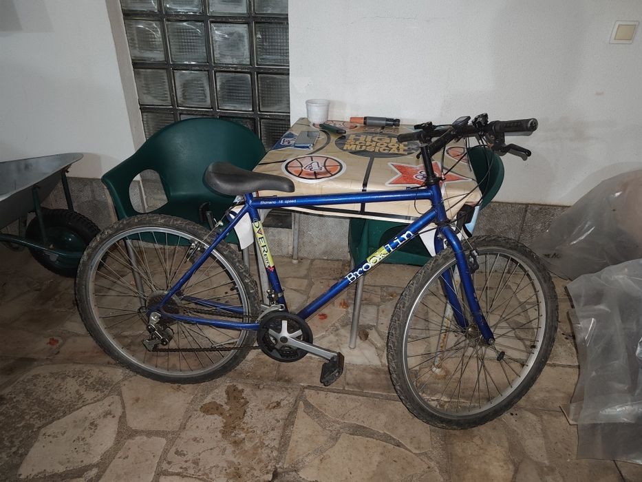 Bicicleta adulto