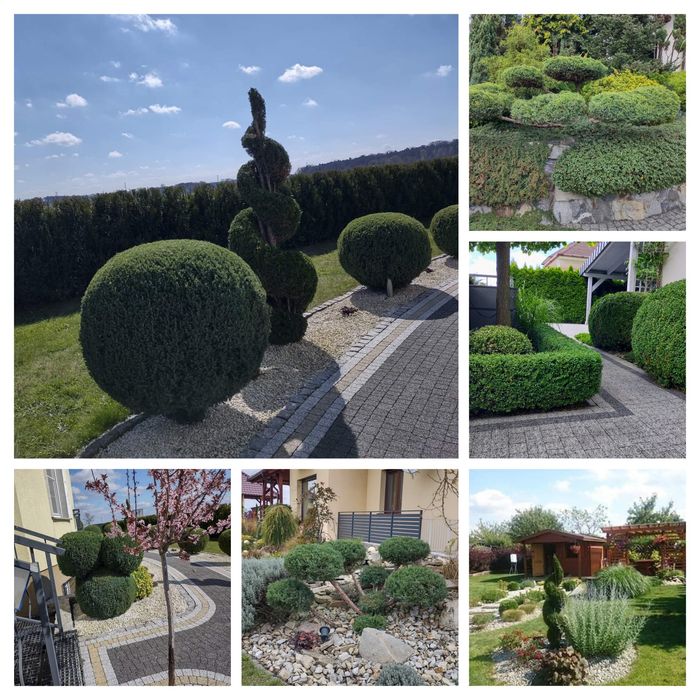 Kompleksowe usługi ogrodnicze