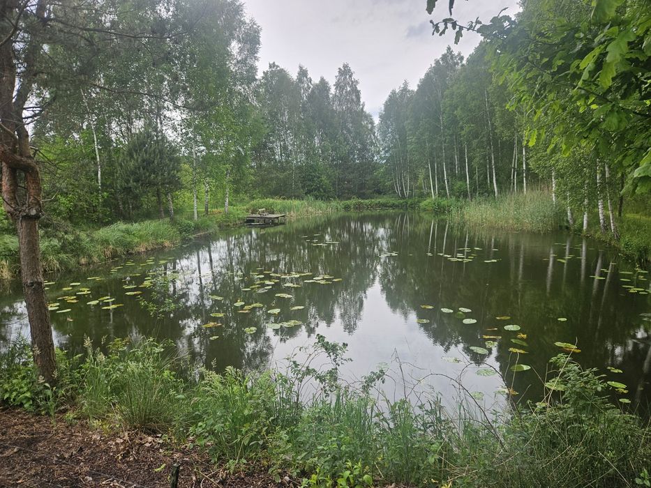Agroturystyka , pokoje do wynajęcia