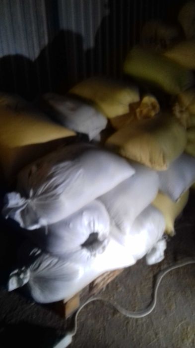 Sprzedam kukurydze mieloną