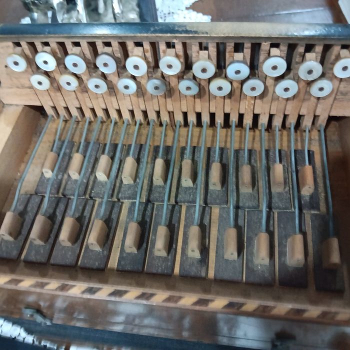 Concertina  para venda