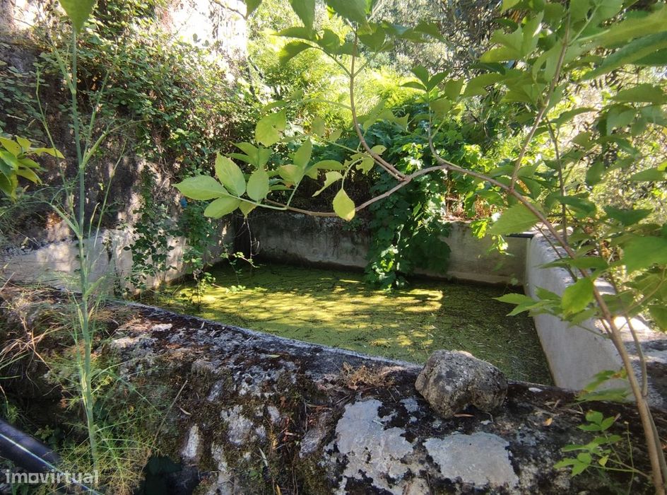 Quinta  Venda em Vela,Guarda