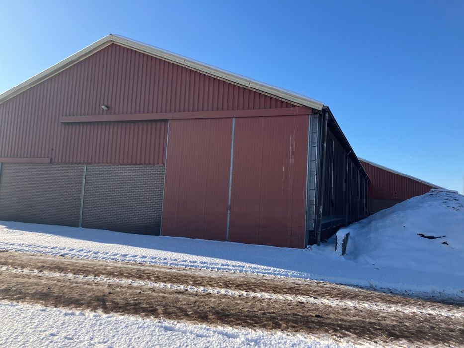 Obora budynek inwentarski 150szt ruszta konstrukcja stalowa  20x67