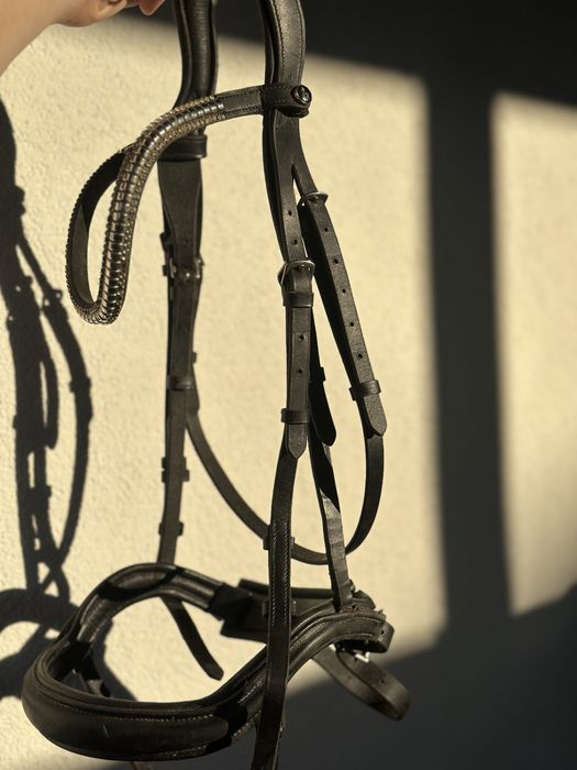 Вуздечка для коня