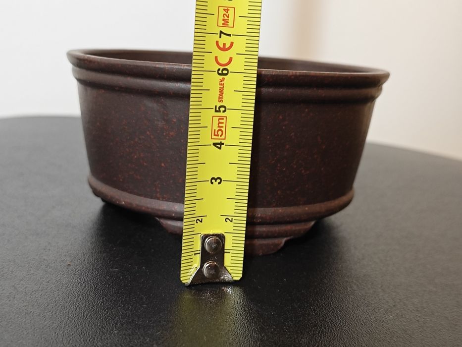 Vaso novo para bonsai
