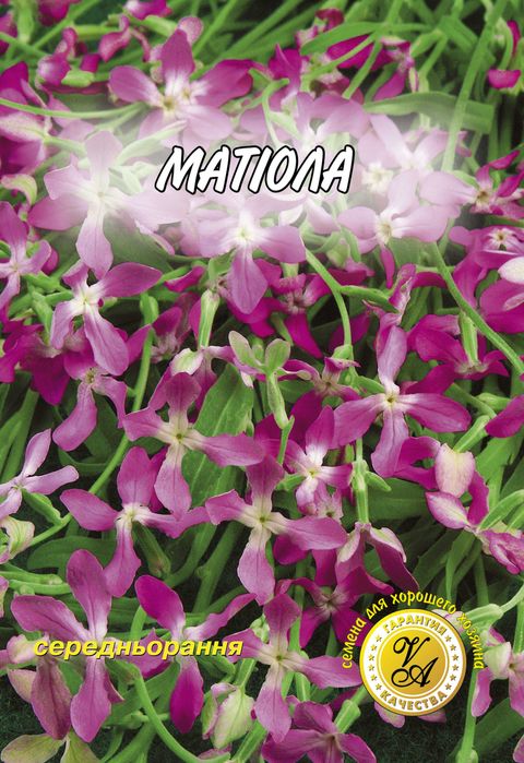 Насіння від виробника оптом