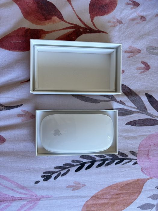 Magic mouse Apple