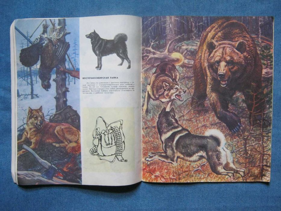 Книга-альбом "Охотничьи собаки".