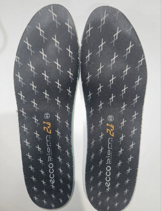 ECCO Biom 2.1 X Mountain