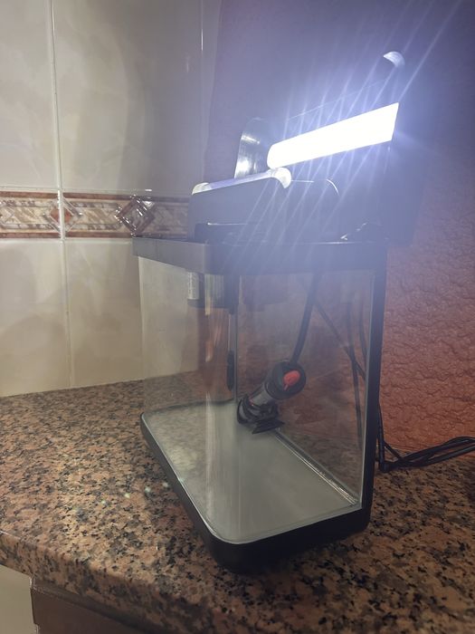 Aquário peixes com luz