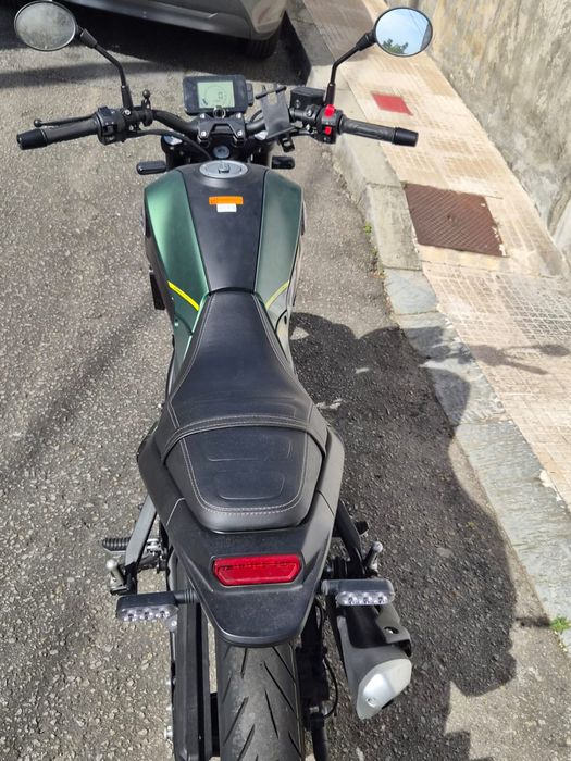 Beneli leoncino 123