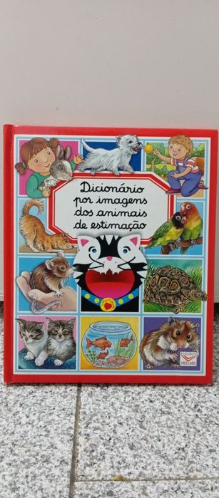 Livro dicionário por imagens