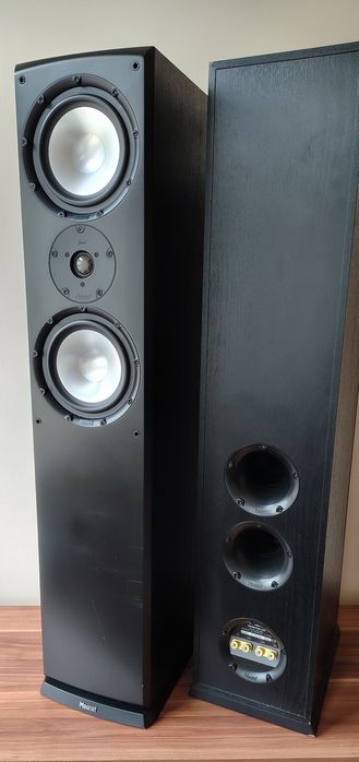 Kolumny Magnat Quantum 505