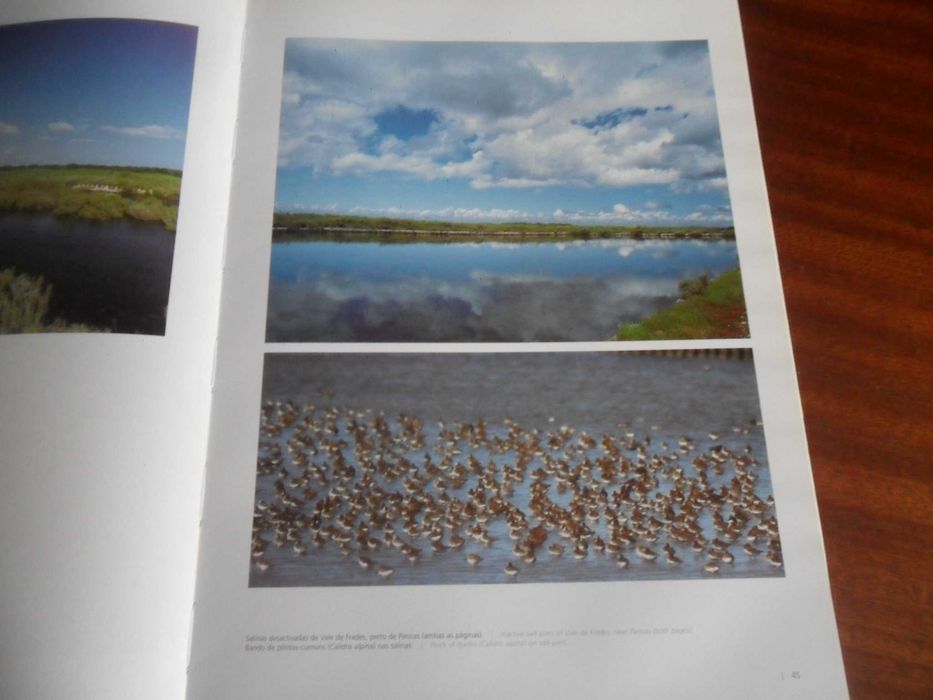 "O Tejo do Estuário" de João Nunes da Silva e Paula Lopes da Silva