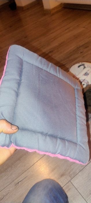 Domek dla świnki morskiej