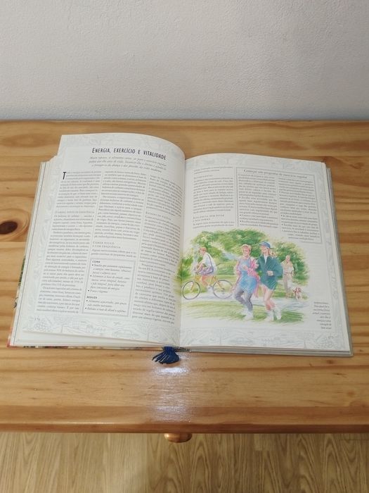 Alimentos Bons e Alimentos Perigosos