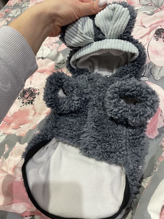 Одежда для собак