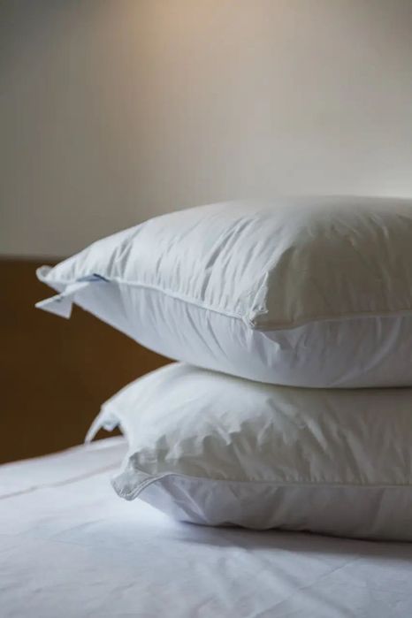 Подушка Ecotton 50х70 см Ecofill Premium антиалергенна з біопухом біла в чохлі для зберігання White