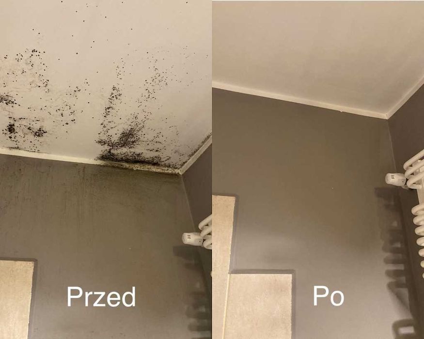 Czyszczenie tapicerki, kostki brukowej i elewacji