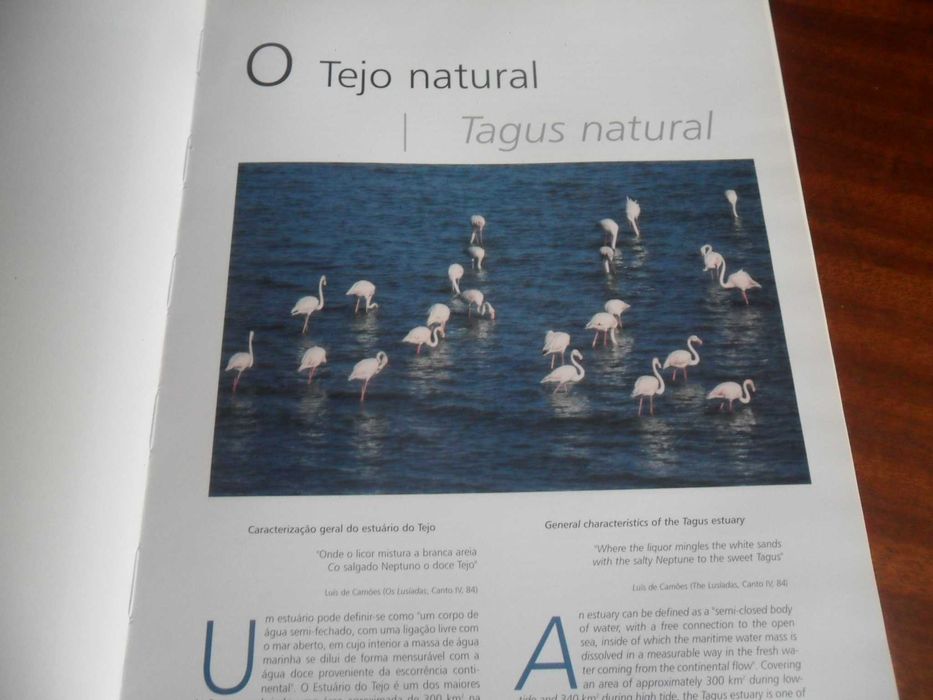 "O Tejo do Estuário" de João Nunes da Silva e Paula Lopes da Silva