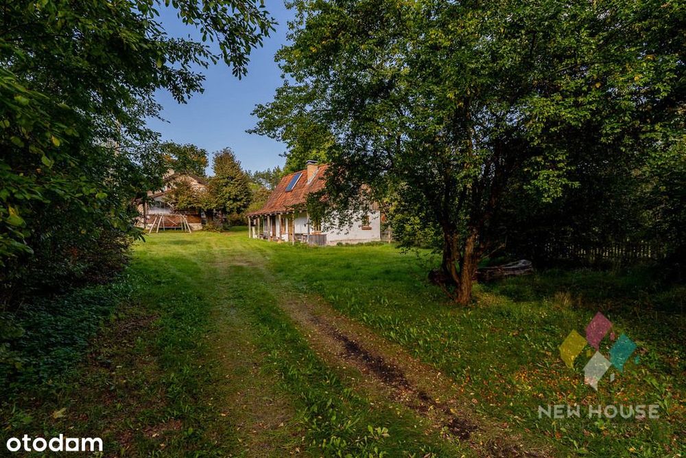 Dom wolnostojący w stylu warmińskim, las, jezioro