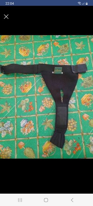 pensos higiénicos e cueca para cadela