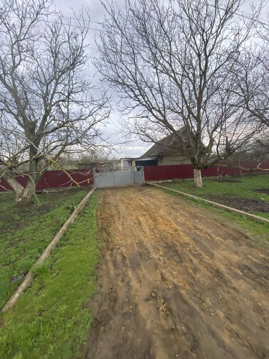 Продам дом с.Покровка - Новый Мир , Разделянский район Одесская обл