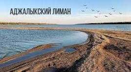 Продается дача на берегу лимана. Новая дофиновка