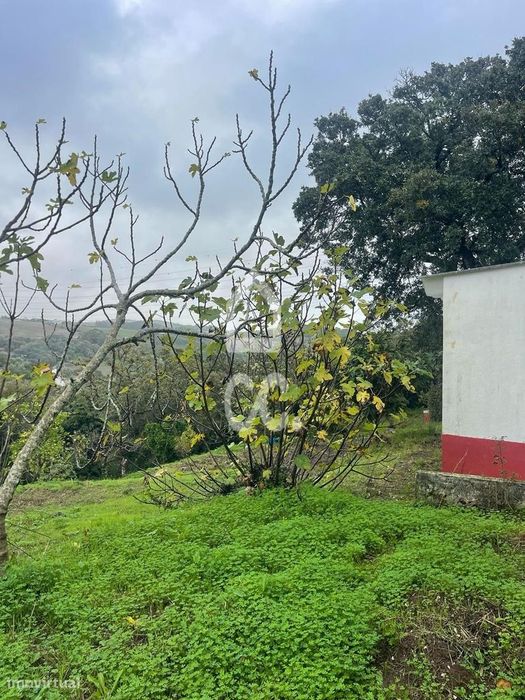 Terreno com poço legalizado e várias árvores de fruto