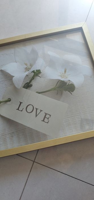 Quadros com moldura dourada