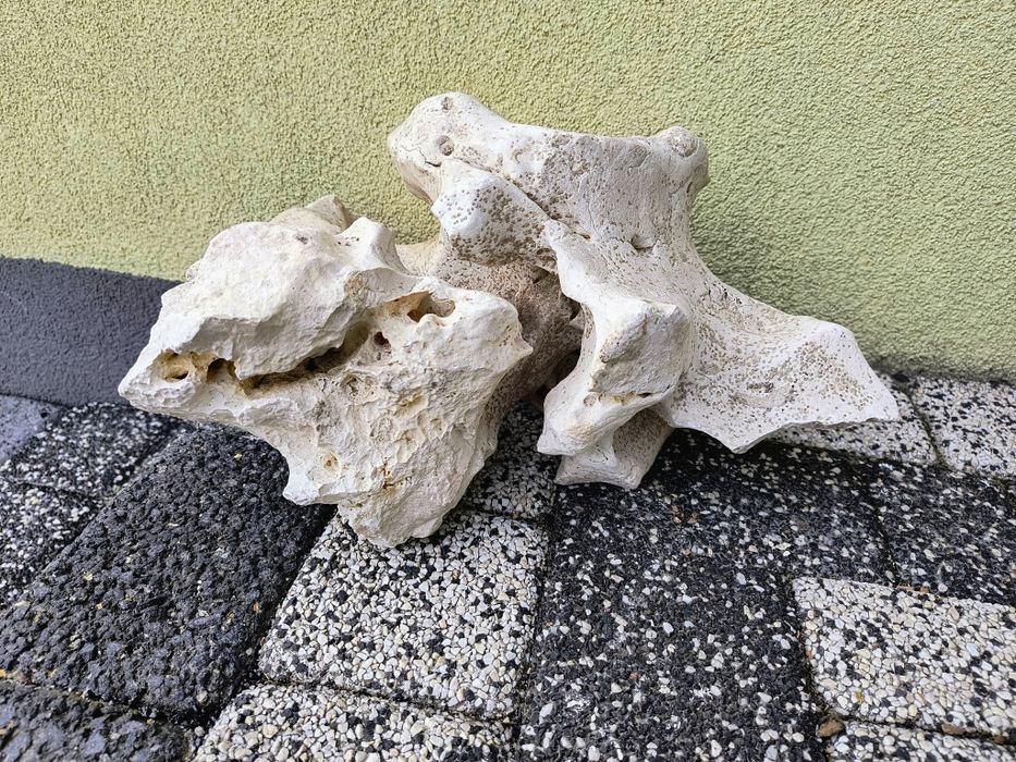 Skala Limastone , Wapień filipiński do akwarium