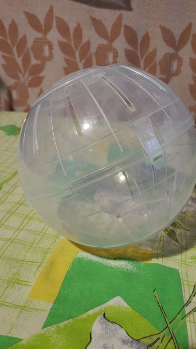 Шар для хомяків як переноска та для прогулки