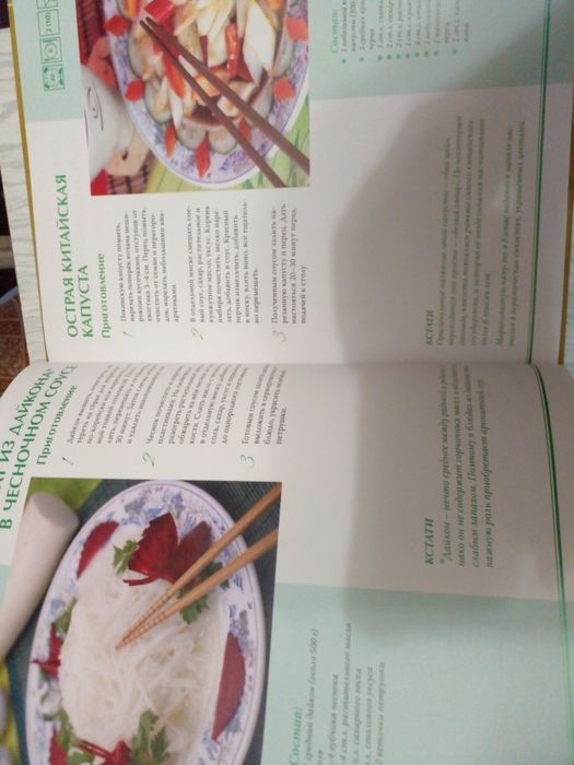 Современная Китайская кухня