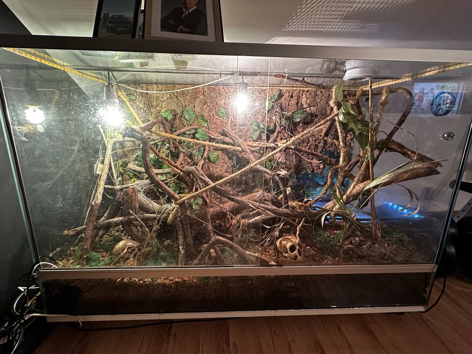 Ogromne piękne szklane terrarium okazja!!!