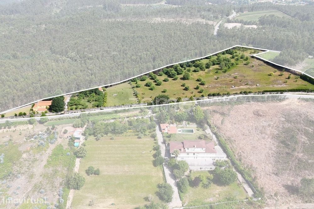 Agricultural Estate in Canedo, Santa Maria da Feira — 21,860 m²