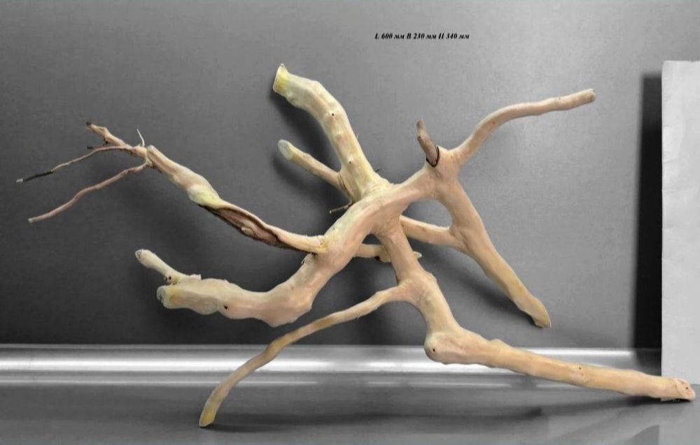 Коряга в Аквариум/террариум с дерева  КЛЕН