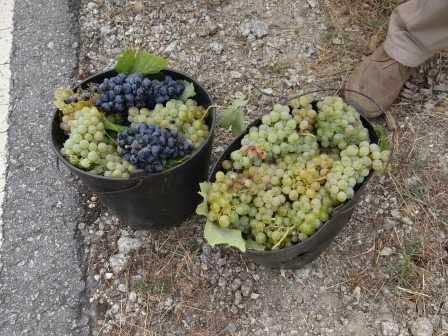Prédio rústico (terreno) 2,4 hectares à beira da estrada