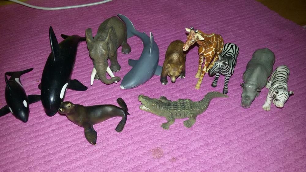 Animais da Imaginarium