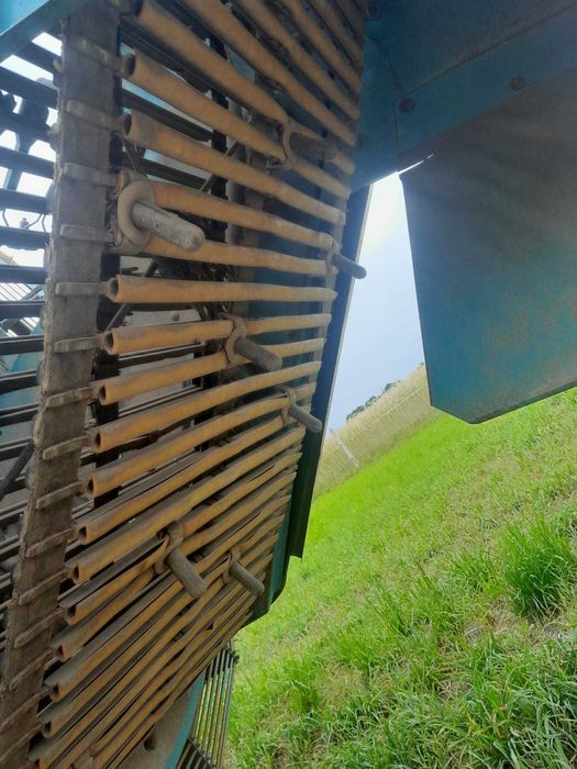 Kombajn Ziemniaczany Anna , Ziemniak Oryginał