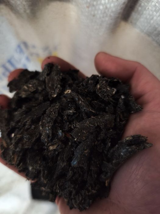 Макуха соняшнику