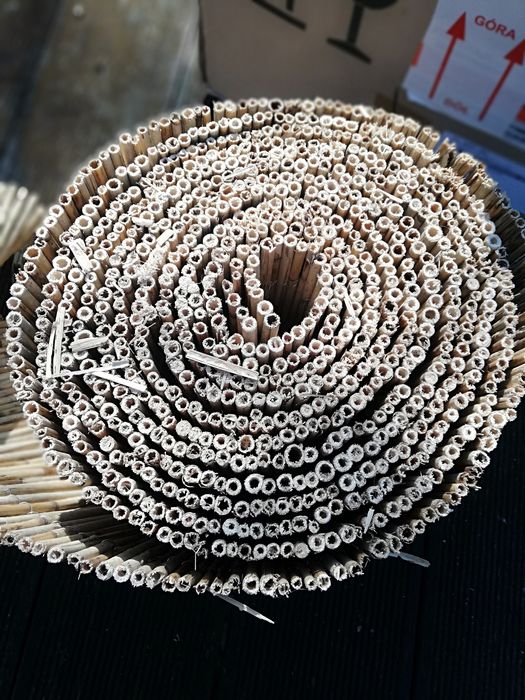Rolborder trzcinowy 0,2m x 6m długości