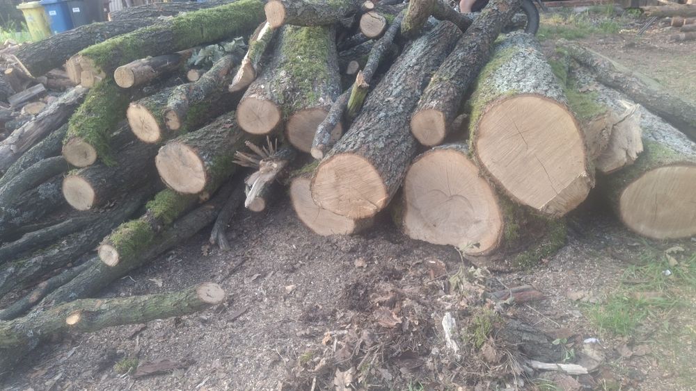 Sprzedam drewno .