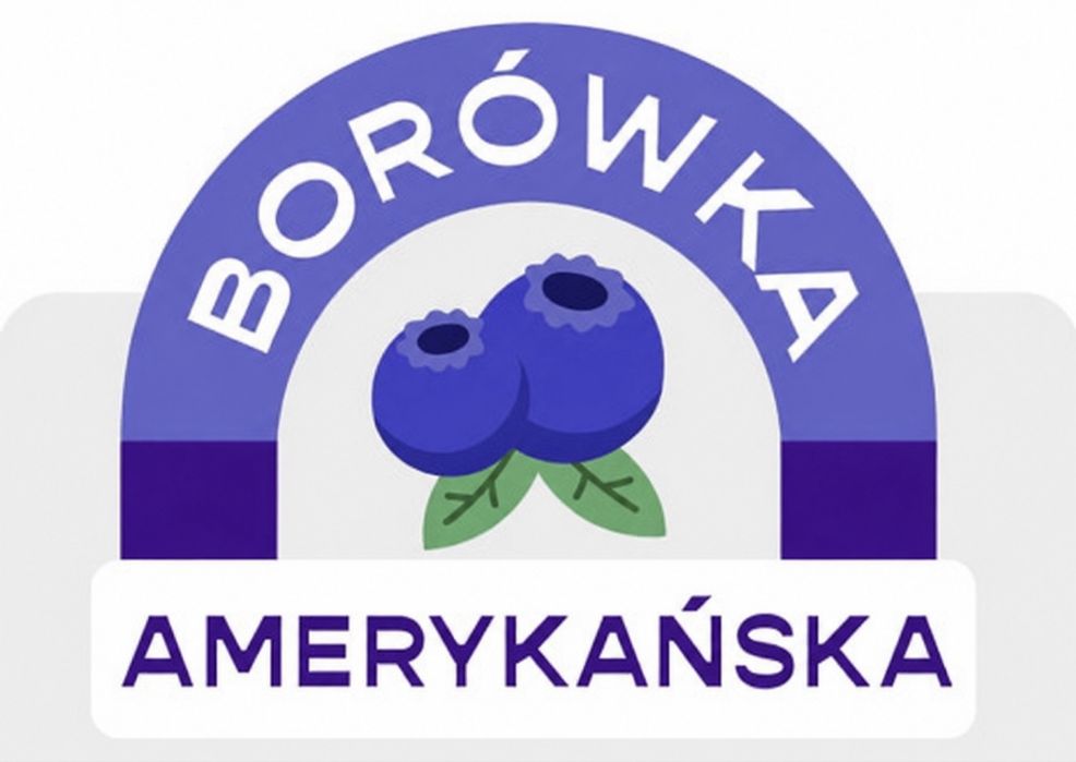Borówka Amerykańska - Borówka - Borówki - Owoce