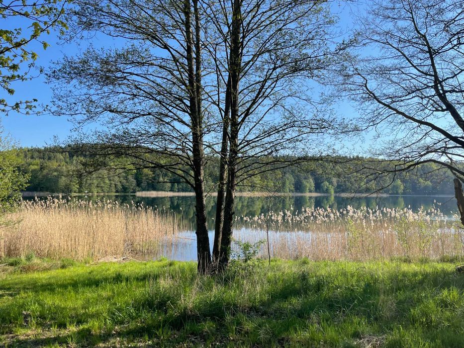 Działka nad jeziorem