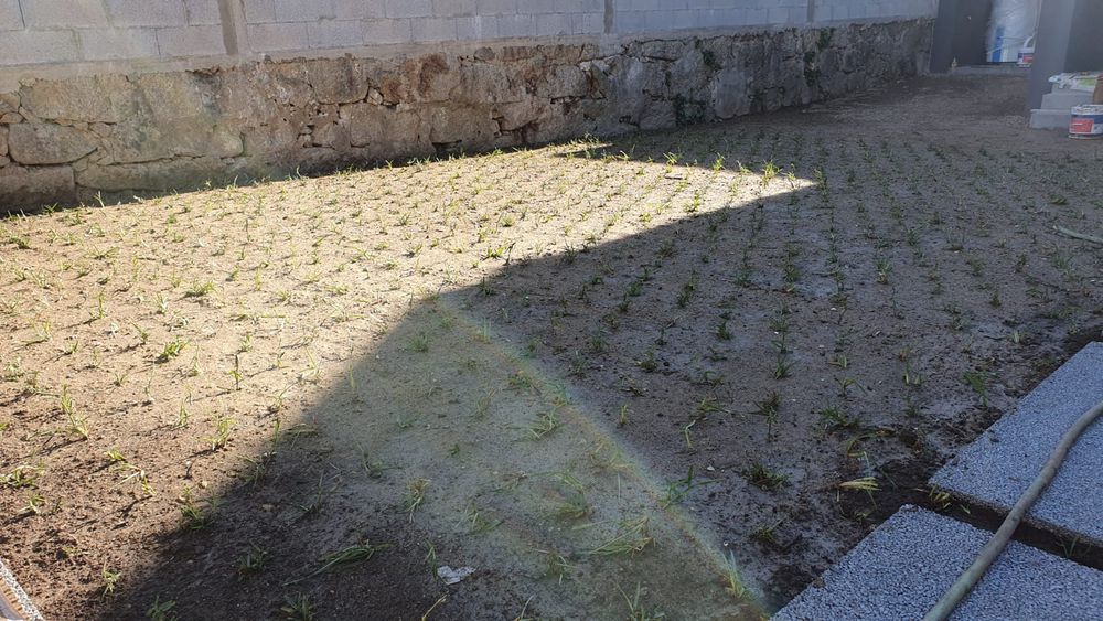 relva escalracho com entrega e/envio