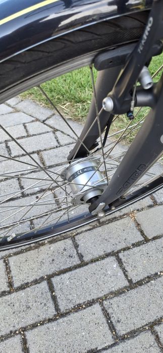 Rower męski Pegasus