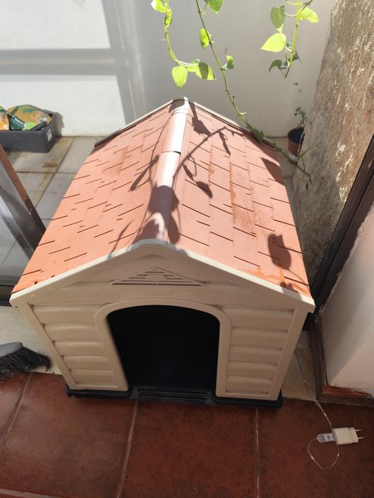 Casa de  gatos e cachorros – USADA, EM BOM ESTADO